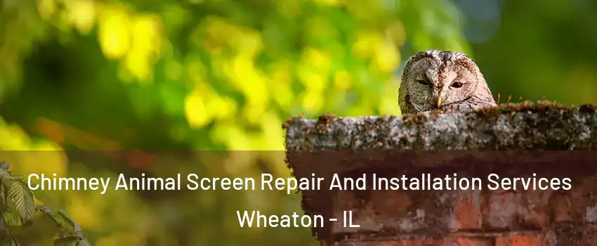  Chimney Animal Screen Repair And Installation Services Wheaton - IL