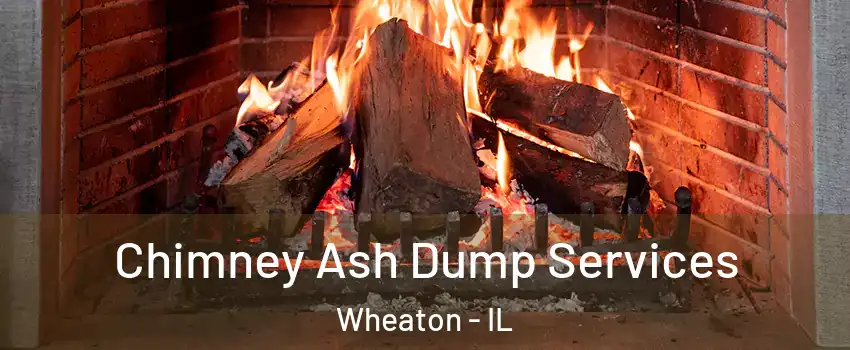  Chimney Ash Dump Services Wheaton - IL