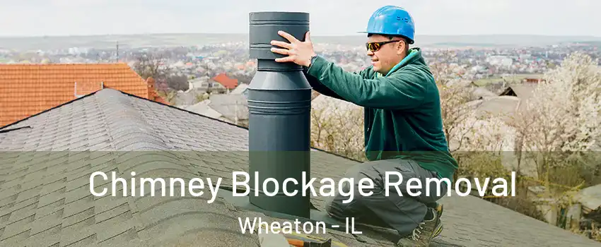  Chimney Blockage Removal Wheaton - IL
