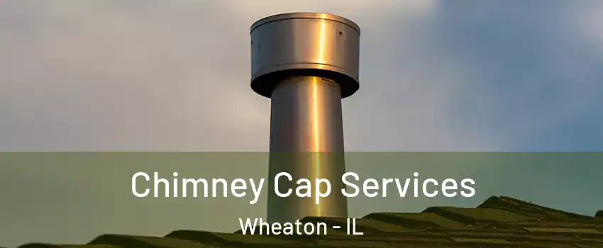  Chimney Cap Services Wheaton - IL