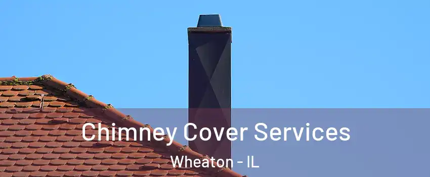  Chimney Cover Services Wheaton - IL