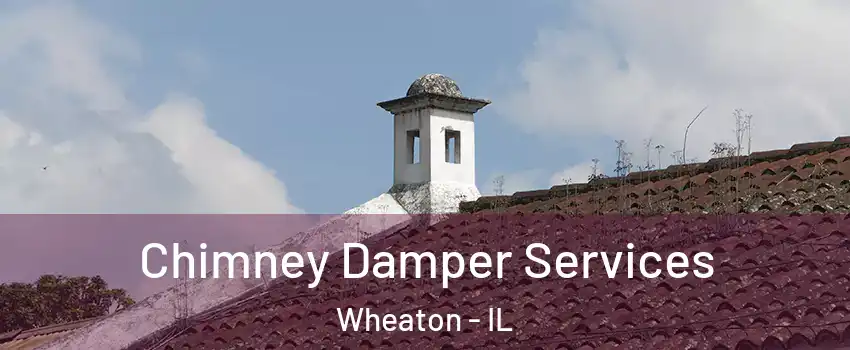  Chimney Damper Services Wheaton - IL