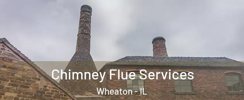  Chimney Flue Services Wheaton - IL