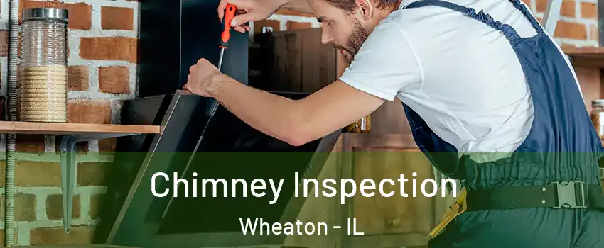  Chimney Inspection Wheaton - IL