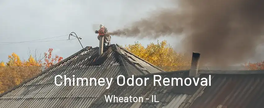  Chimney Odor Removal Wheaton - IL