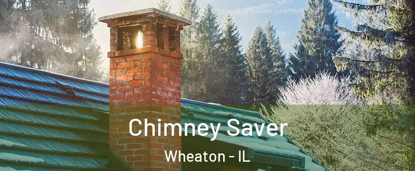  Chimney Saver Wheaton - IL