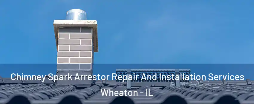  Chimney Spark Arrestor Repair And Installation Services Wheaton - IL