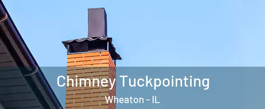  Chimney Tuckpointing Wheaton - IL