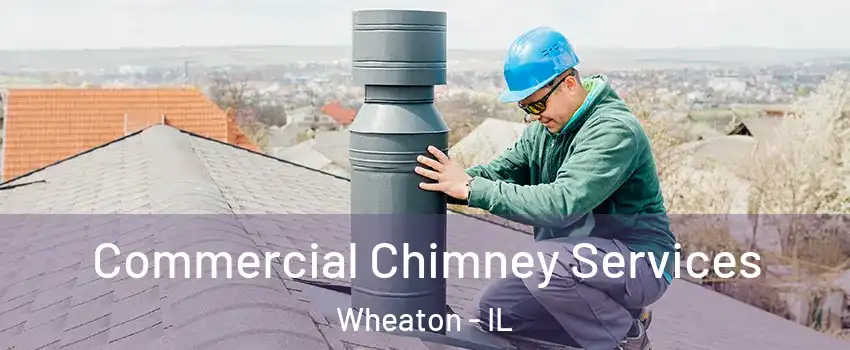  Commercial Chimney Services Wheaton - IL