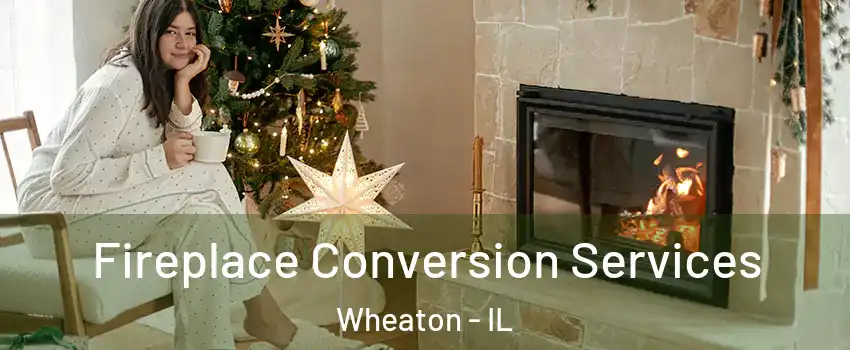  Fireplace Conversion Services Wheaton - IL