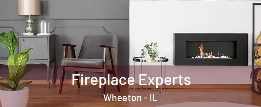  Fireplace Experts Wheaton - IL