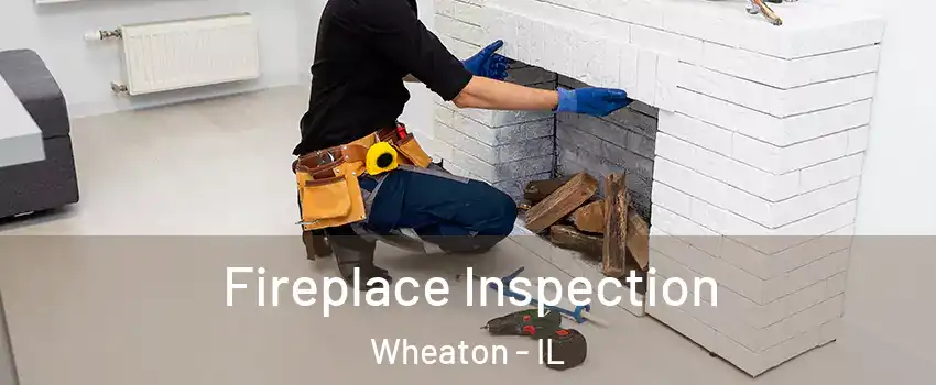  Fireplace Inspection Wheaton - IL