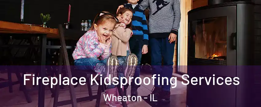  Fireplace Kidsproofing Services Wheaton - IL
