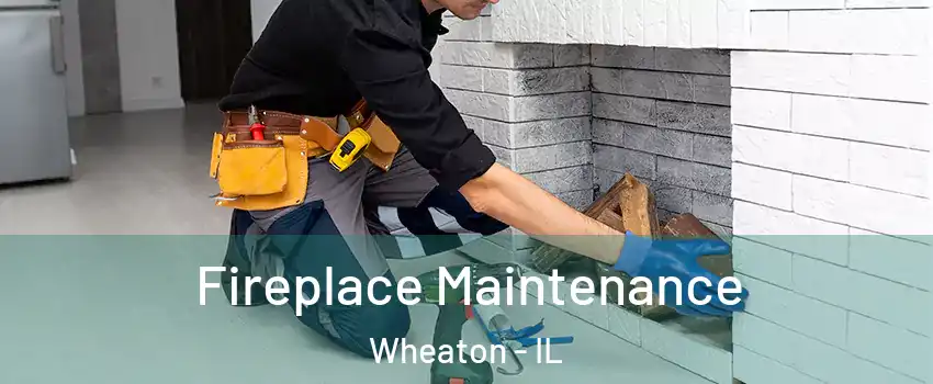  Fireplace Maintenance Wheaton - IL
