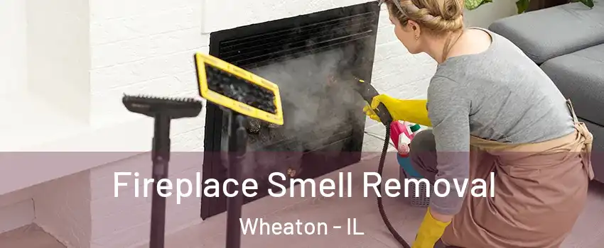 Fireplace Smell Removal Wheaton - IL