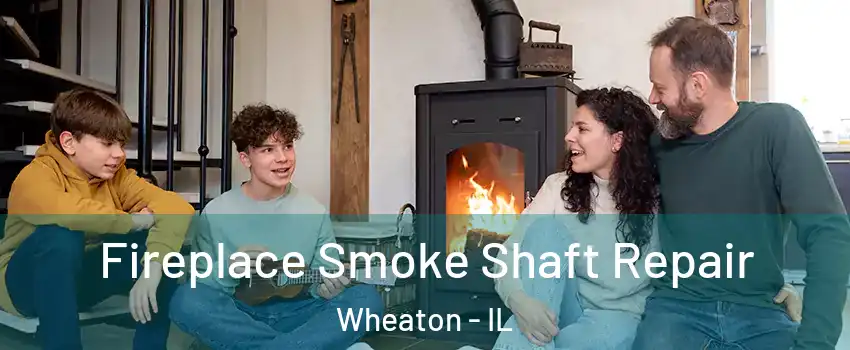  Fireplace Smoke Shaft Repair Wheaton - IL