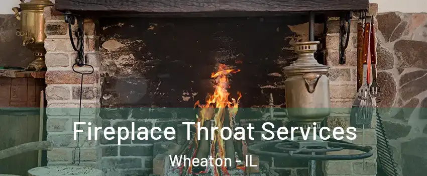  Fireplace Throat Services Wheaton - IL