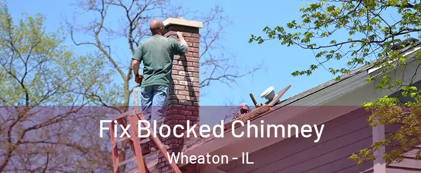  Fix Blocked Chimney Wheaton - IL