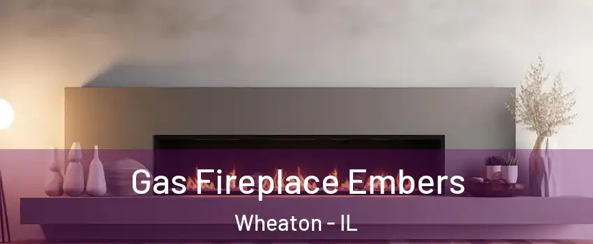  Gas Fireplace Embers Wheaton - IL