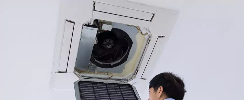 Benefits of Professional Air Duct Cleaning in Wheaton, Illinois