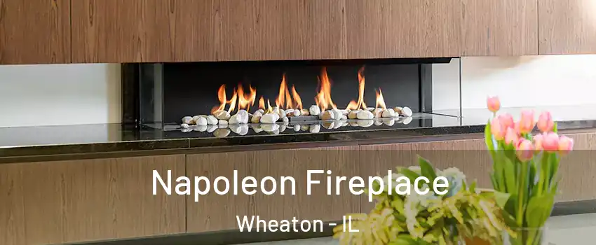  Napoleon Fireplace Wheaton - IL