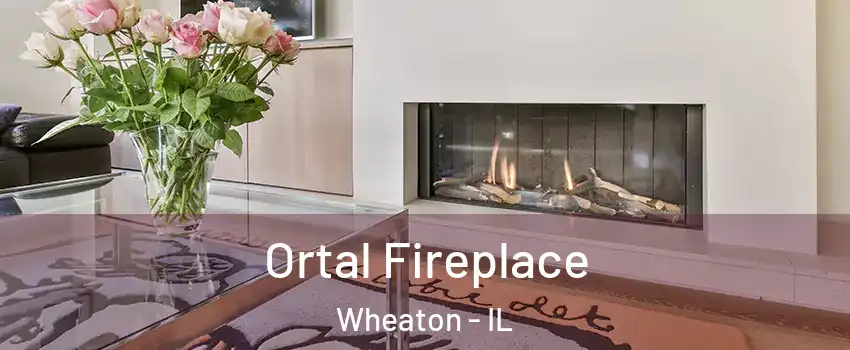 Ortal Fireplace Wheaton - IL