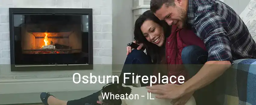  Osburn Fireplace Wheaton - IL