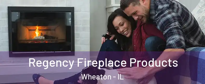  Regency Fireplace Products Wheaton - IL